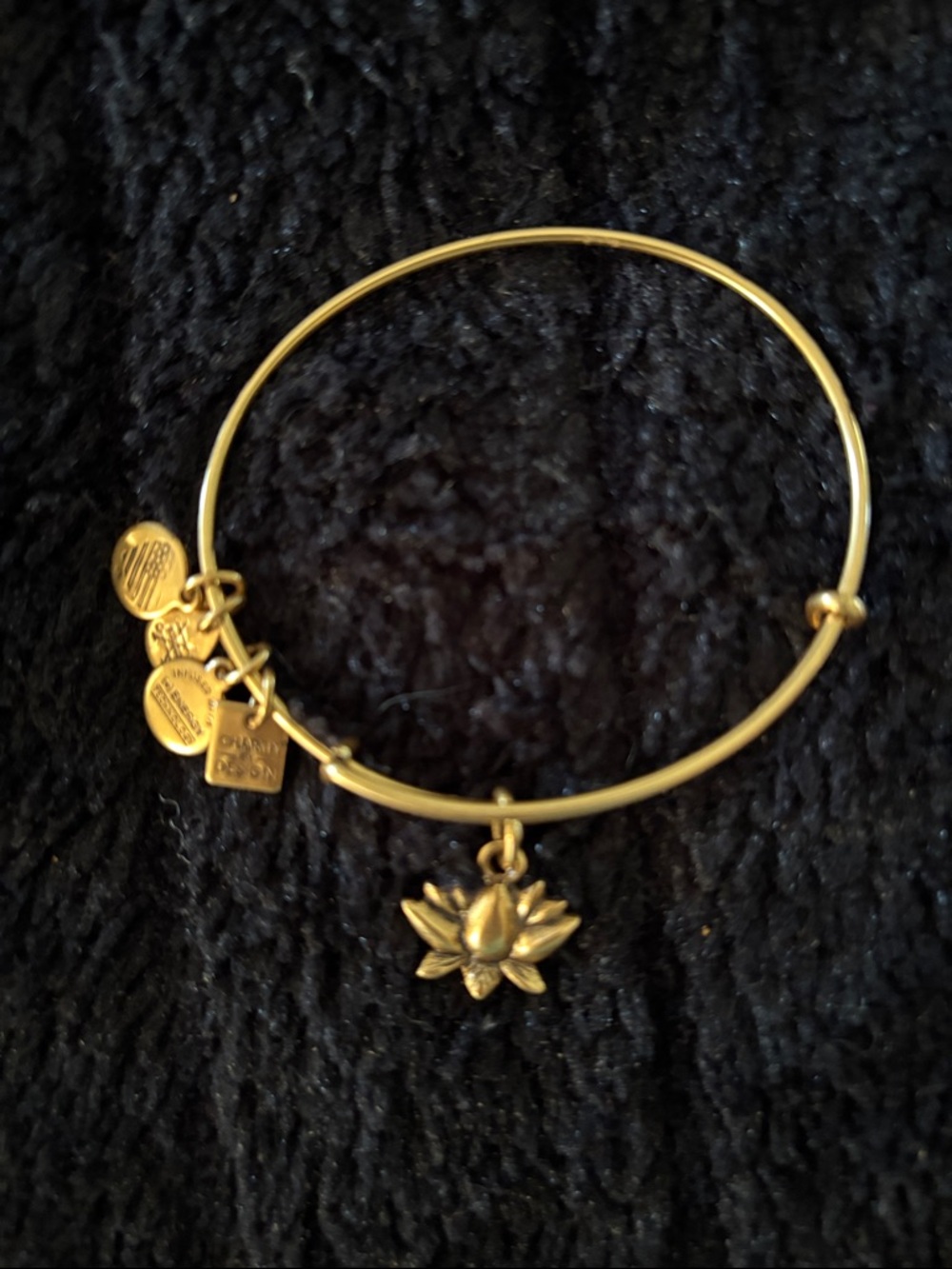 Alex and Ani Gold Lotus Charm Adjustable Bangle